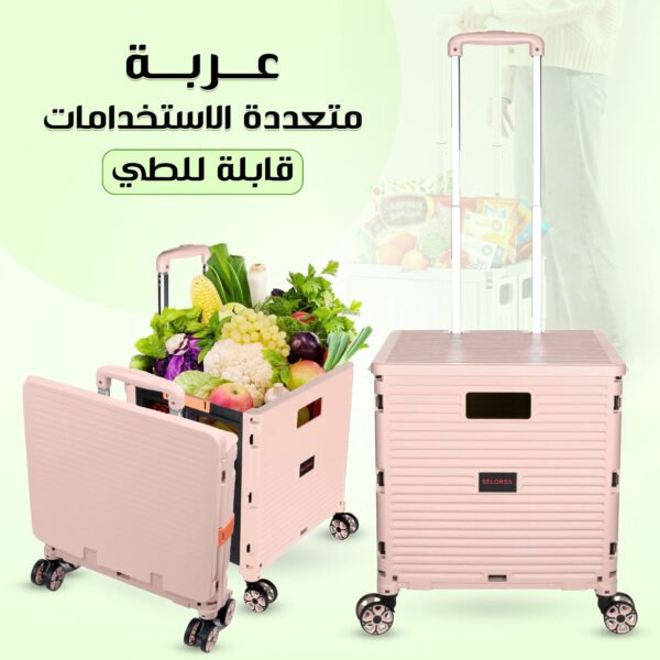 ⁦-⁩ - الصورة ⁦2⁩