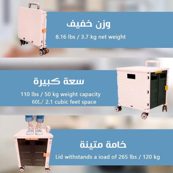 ⁦-⁩ - الصورة ⁦5⁩