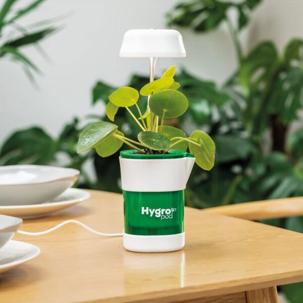 ⁦Modern hydroponic cultivation system⁩ - الصورة ⁦7⁩