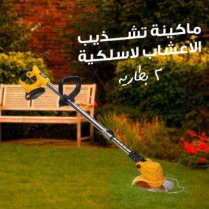 Cordless Grass Trimmer with 2 Battery – DENX